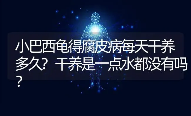 小巴西龟得腐皮病每天干养多久?干养是一点水都没有吗？ | 动物养殖问答