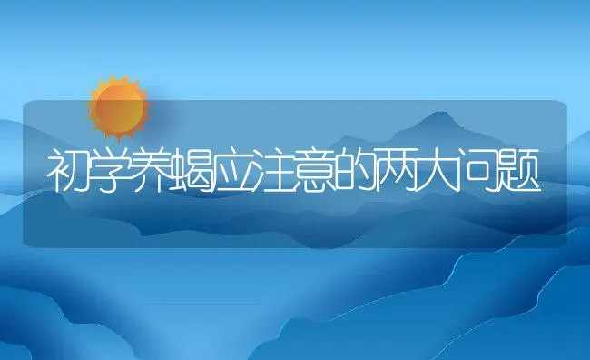 以草代药防治彩毛兔疾病 | 水产养殖知识