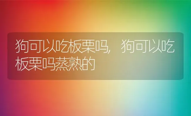 狗可以吃板栗吗,狗可以吃板栗吗蒸熟的 | 宠物百科知识