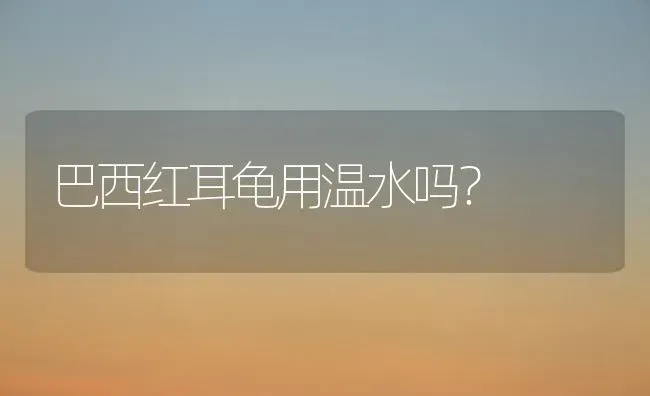 巴西红耳龟用温水吗？ | 动物养殖问答