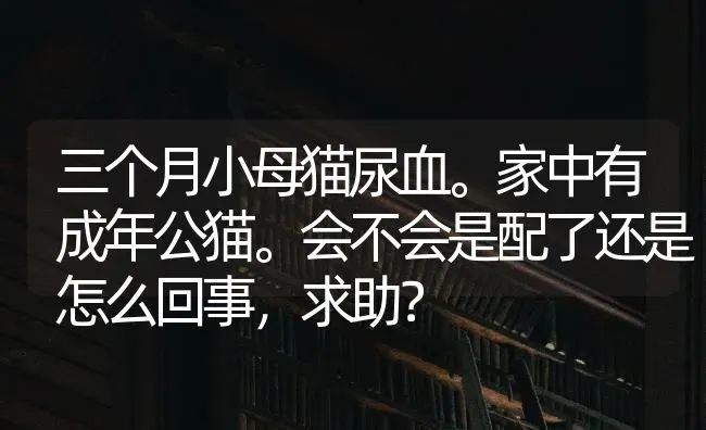 三个月小母猫尿血。家中有成年公猫。会不会是配了还是怎么回事，求助？ | 动物养殖问答