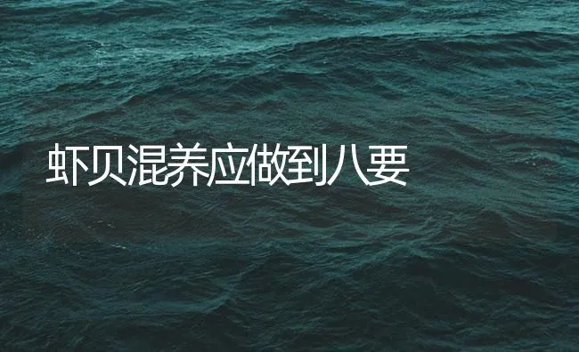 虾贝混养应做到八要 | 海水养殖技术