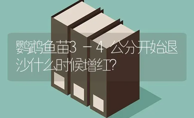 鹦鹉鱼苗3-4公分开始退沙什么时候增红？ | 动物养殖问答