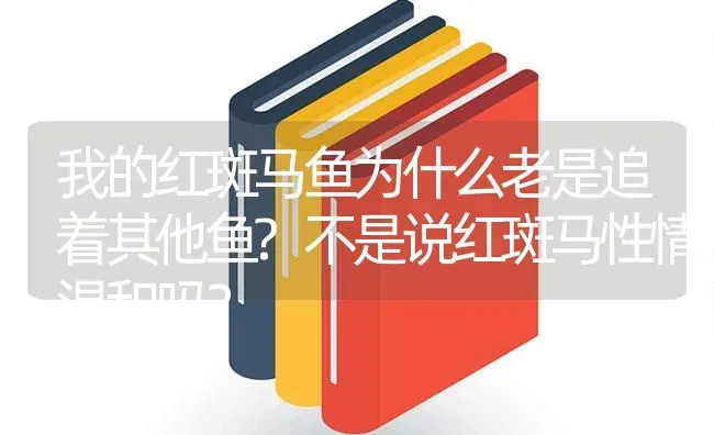 我的红斑马鱼为什么老是追着其他鱼?不是说红斑马性情温和吗？ | 鱼类宠物饲养