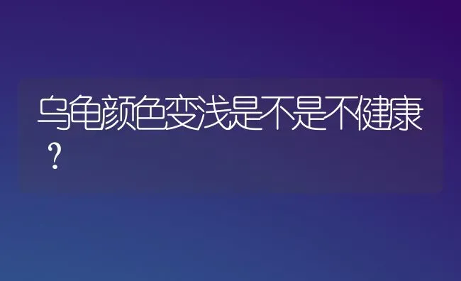 乌龟颜色变浅是不是不健康？ | 动物养殖问答