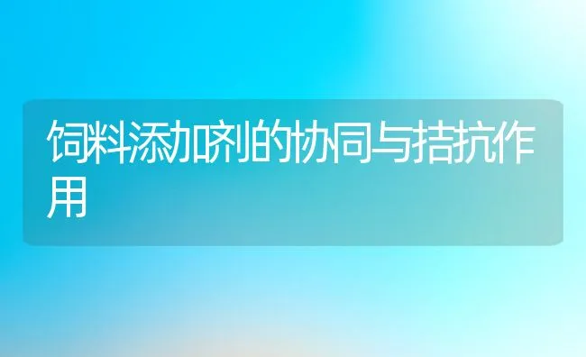 饲料添加剂的协同与拮抗作用 | 动物养殖学堂