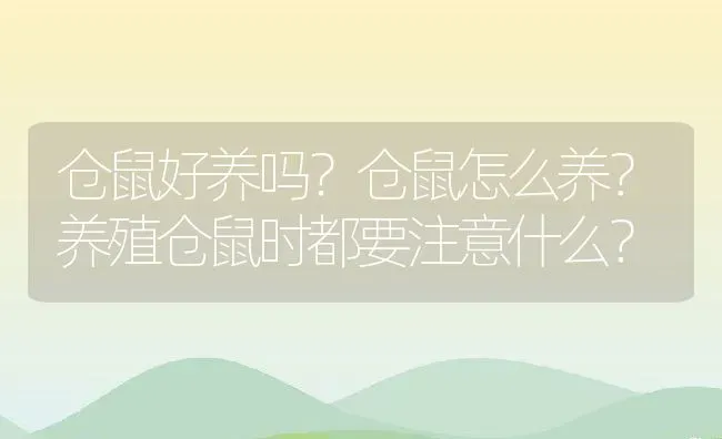 仓鼠好养吗？仓鼠怎么养？养殖仓鼠时都要注意什么？ | 动物养殖百科