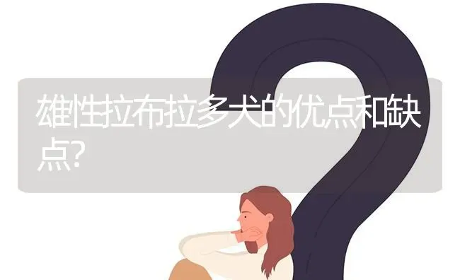 雄性拉布拉多犬的优点和缺点？ | 动物养殖问答