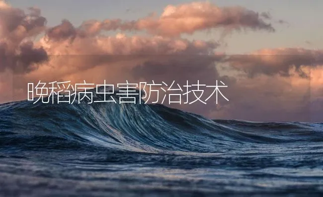 晚稻病虫害防治技术 | 海水养殖技术