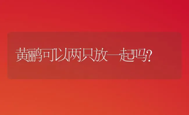 黄鹂可以两只放一起吗？ | 动物养殖问答