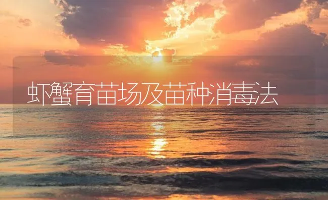 虾蟹育苗场及苗种消毒法 | 海水养殖技术