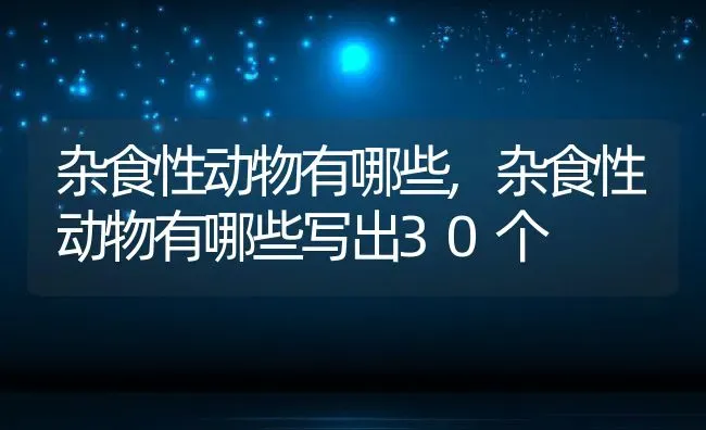 杂食性动物有哪些,杂食性动物有哪些写出30个 | 宠物百科知识