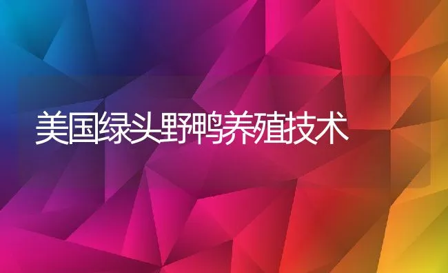 美国绿头野鸭养殖技术 | 动物养殖饲料