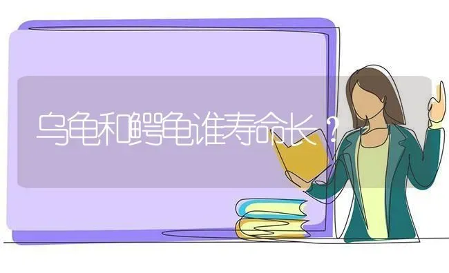 乌龟和鳄龟谁寿命长？ | 动物养殖问答