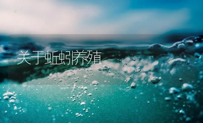 关于蚯蚓养殖 | 海水养殖技术