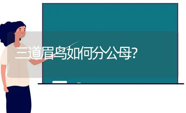 丢小猫咪是一次性丢完还是给母猫留一只？ | 动物养殖问答