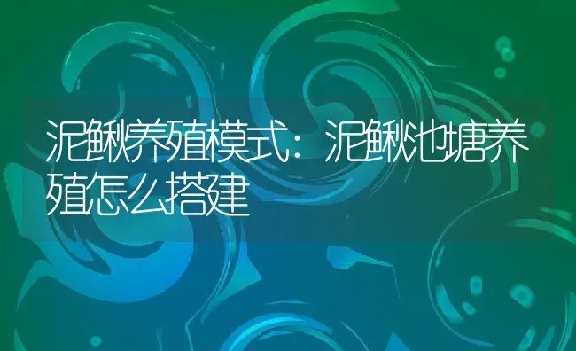 泥鳅养殖模式：泥鳅池塘养殖怎么搭建 | 动物养殖百科