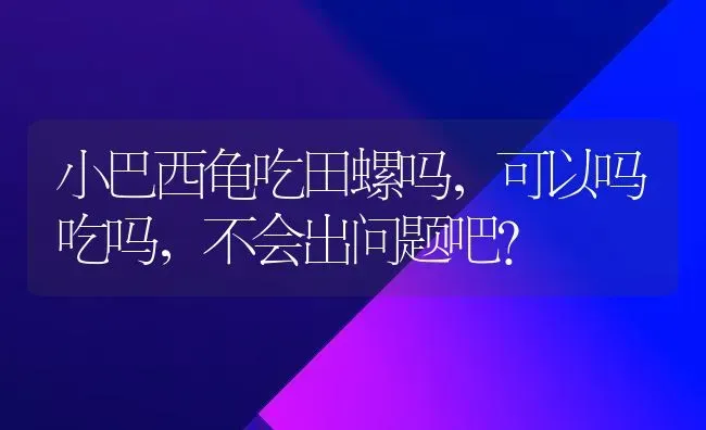 小巴西龟吃田螺吗，可以吗吃吗，不会出问题吧？ | 动物养殖问答