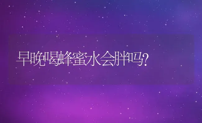 早晚喝蜂蜜水会胖吗？ | 动物养殖百科