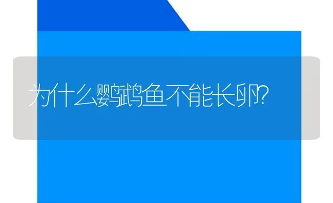 为什么鹦鹉鱼不能长卵？ | 鱼类宠物饲养