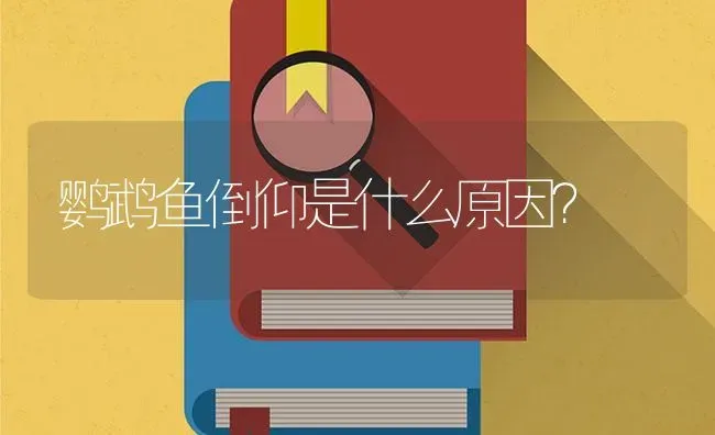 鹦鹉鱼倒仰是什么原因？ | 鱼类宠物饲养