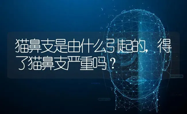 猫鼻支是由什么引起的，得了猫鼻支严重吗？ | 动物养殖问答