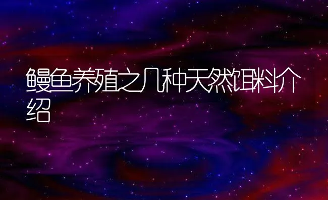 鳗鱼养殖之几种天然饵料介绍 | 动物养殖饲料