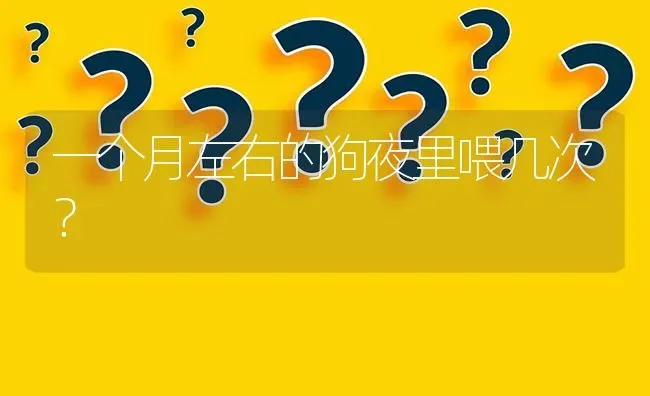 一个月左右的狗夜里喂几次？ | 动物养殖问答