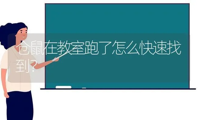 仓鼠在教室跑了怎么快速找到？ | 动物养殖问答