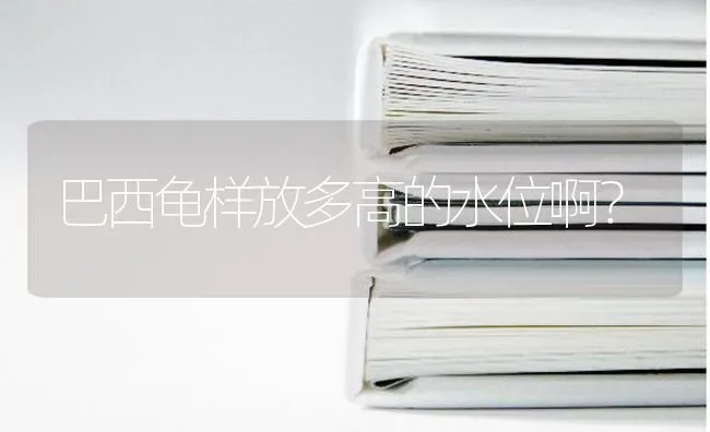 巴西龟样放多高的水位啊？ | 动物养殖问答