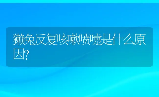 獭兔反复咳嗽喷嚏是什么原因？ | 动物养殖学堂