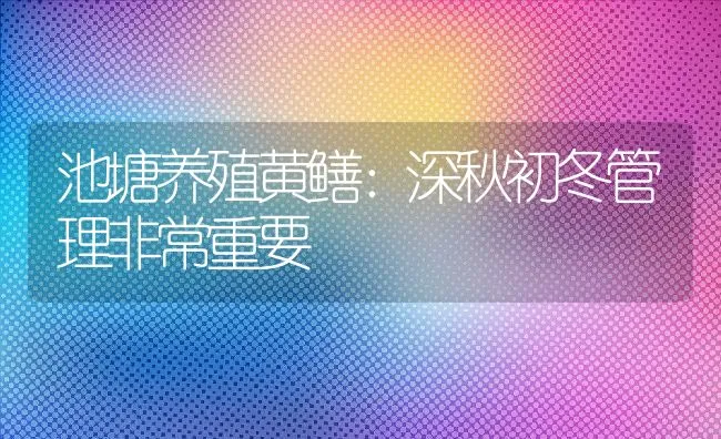 池塘养殖黄鳝：深秋初冬管理非常重要 | 水产养殖知识