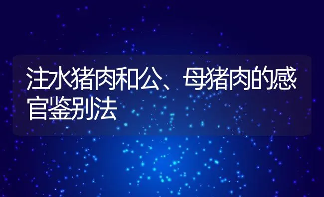 注水猪肉和公、母猪肉的感官鉴别法 | 动物养殖学堂