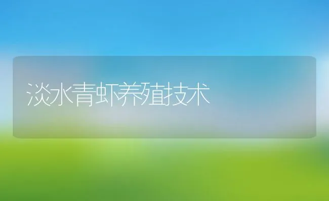 淡水青虾养殖技术 | 动物养殖饲料