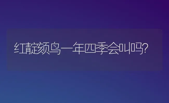 红靛颏鸟一年四季会叫吗？ | 动物养殖问答