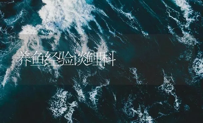 养鱼经验谈鲤科 | 海水养殖技术