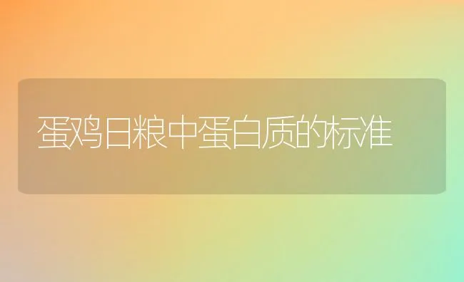 蛋鸡日粮中蛋白质的标准 | 动物养殖饲料