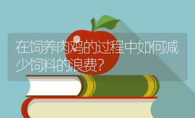 在饲养肉鸡的过程中如何减少饲料的浪费？ | 动物养殖教程