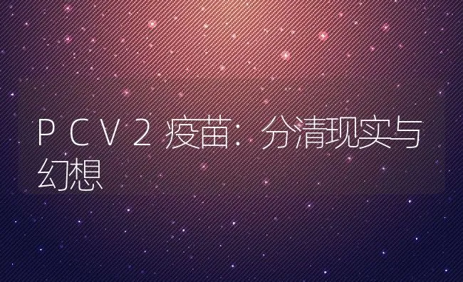 PCV2疫苗：分清现实与幻想 | 动物养殖学堂