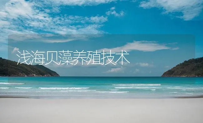 浅海贝藻养殖技术 | 海水养殖技术