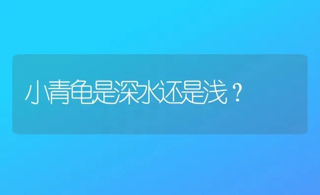 小青龟是深水还是浅？ | 动物养殖问答