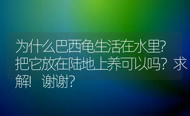 为什么巴西龟生活在水里?把它放在陆地上养可以吗？求解!谢谢？ | 动物养殖问答