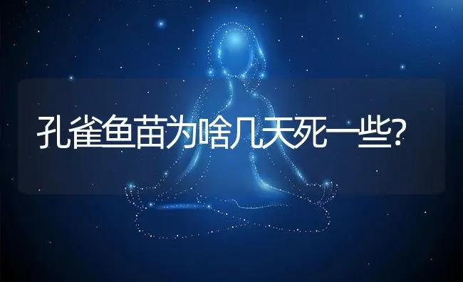 孔雀鱼苗为啥几天死一些？ | 鱼类宠物饲养