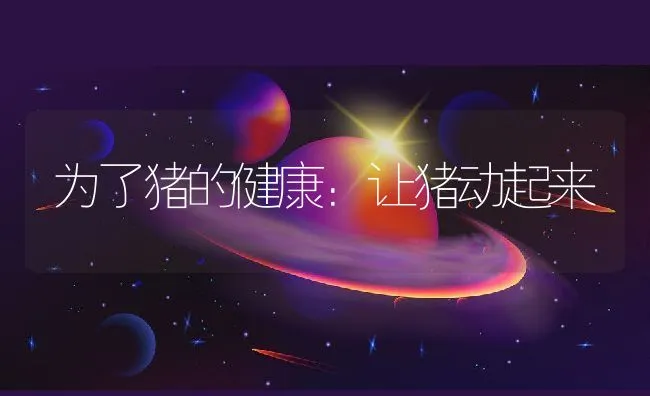 为了猪的健康：让猪动起来 | 动物养殖学堂