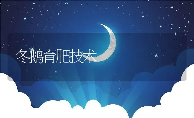 冬鹅育肥技术 | 动物养殖饲料