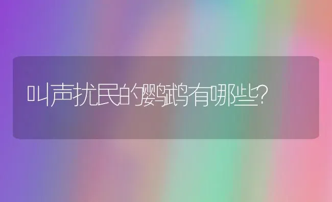 叫声扰民的鹦鹉有哪些？ | 动物养殖问答