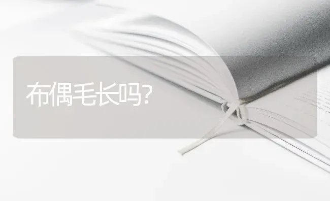 布偶毛长吗？ | 动物养殖问答