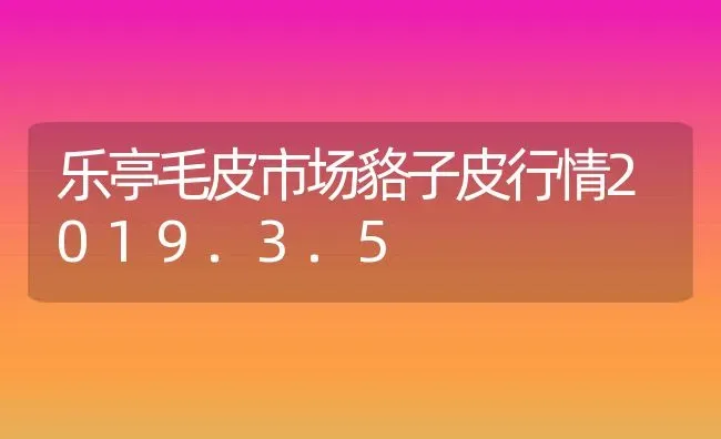 乐亭毛皮市场貉子皮行情2019.3.5 | 动物养殖百科