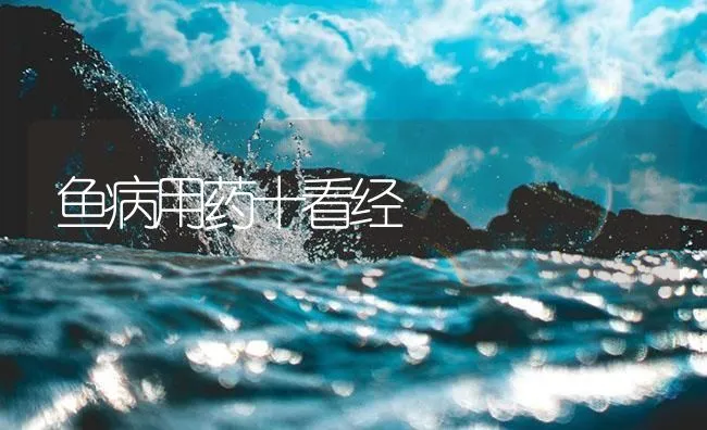 鱼病用药十看经 | 海水养殖技术