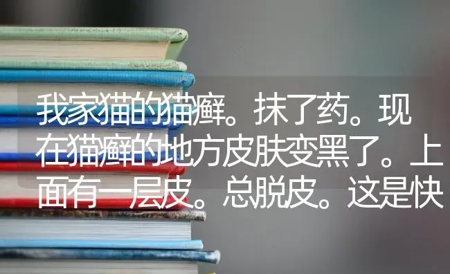 我家猫的猫癣。抹了药。现在猫癣的地方皮肤变黑了。上面有一层皮。总脱皮。这是快要好了吗？ | 动物养殖问答